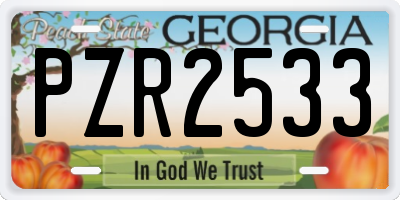 GA license plate PZR2533