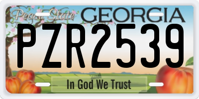 GA license plate PZR2539