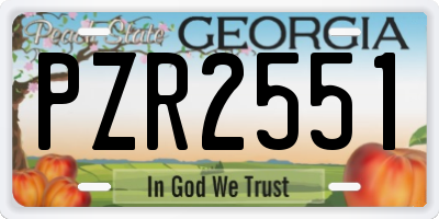 GA license plate PZR2551