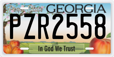 GA license plate PZR2558