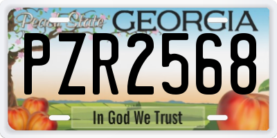 GA license plate PZR2568