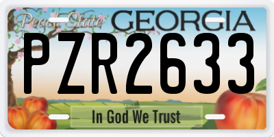 GA license plate PZR2633