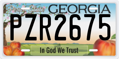 GA license plate PZR2675