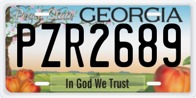 GA license plate PZR2689