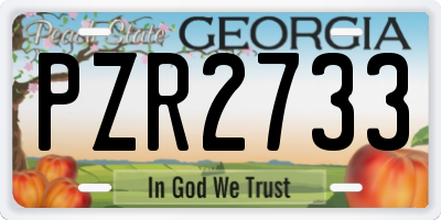 GA license plate PZR2733