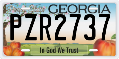 GA license plate PZR2737