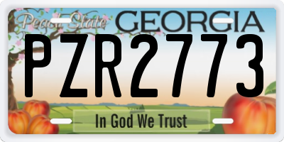 GA license plate PZR2773