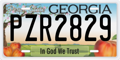 GA license plate PZR2829