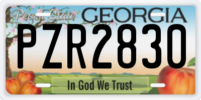 GA license plate PZR2830