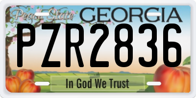 GA license plate PZR2836