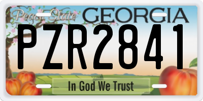 GA license plate PZR2841