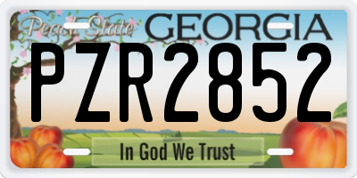 GA license plate PZR2852