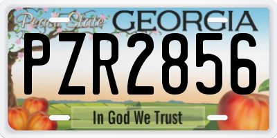 GA license plate PZR2856