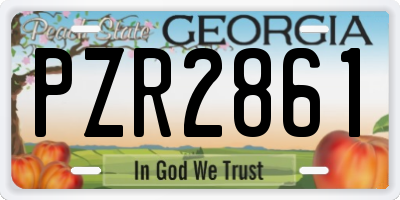 GA license plate PZR2861