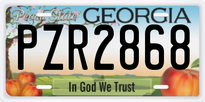 GA license plate PZR2868