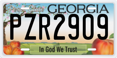 GA license plate PZR2909