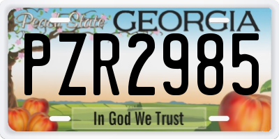 GA license plate PZR2985