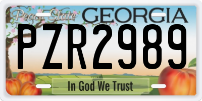 GA license plate PZR2989