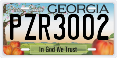 GA license plate PZR3002