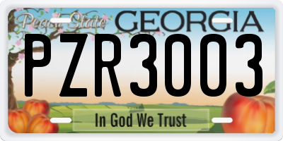 GA license plate PZR3003