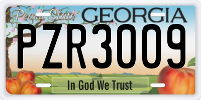 GA license plate PZR3009