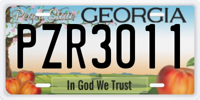 GA license plate PZR3011