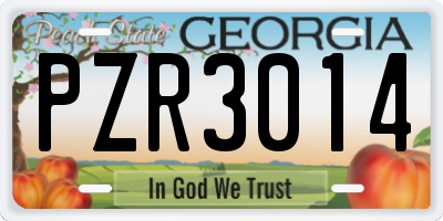 GA license plate PZR3014