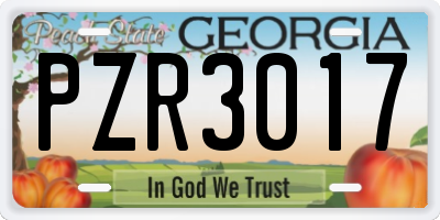 GA license plate PZR3017