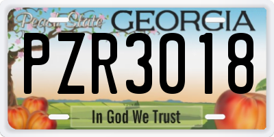 GA license plate PZR3018