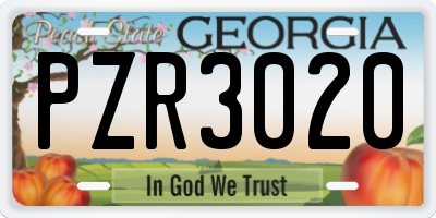 GA license plate PZR3020