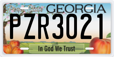 GA license plate PZR3021