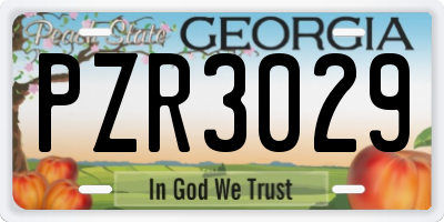 GA license plate PZR3029