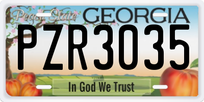 GA license plate PZR3035