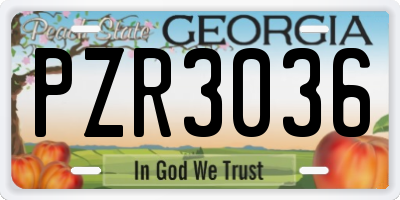 GA license plate PZR3036