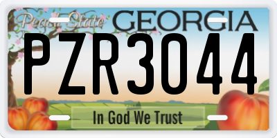 GA license plate PZR3044