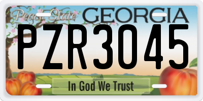 GA license plate PZR3045