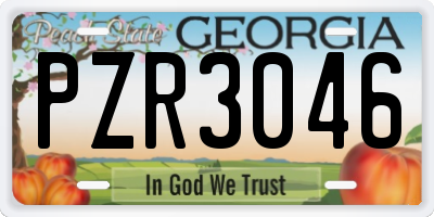 GA license plate PZR3046