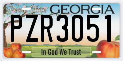 GA license plate PZR3051