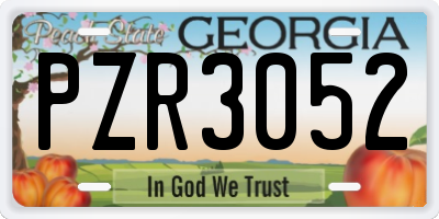 GA license plate PZR3052