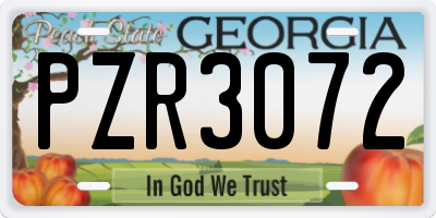 GA license plate PZR3072
