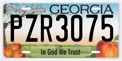 GA license plate PZR3075
