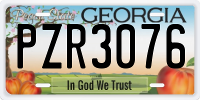 GA license plate PZR3076