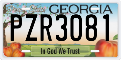 GA license plate PZR3081