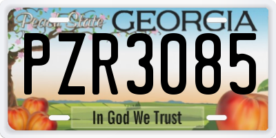 GA license plate PZR3085