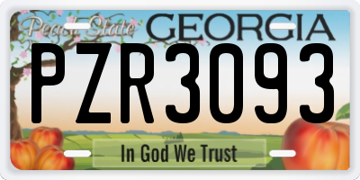 GA license plate PZR3093