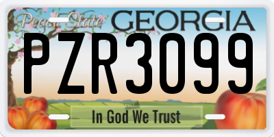GA license plate PZR3099