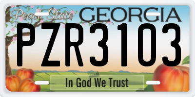 GA license plate PZR3103
