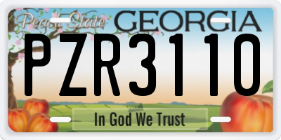 GA license plate PZR3110