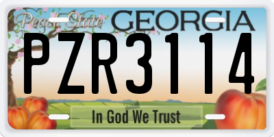 GA license plate PZR3114