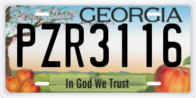 GA license plate PZR3116